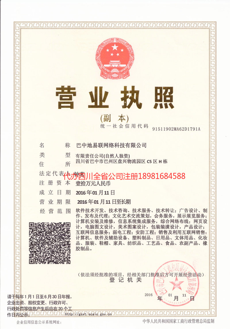 武胜武胜地易联网络科技有限公司
